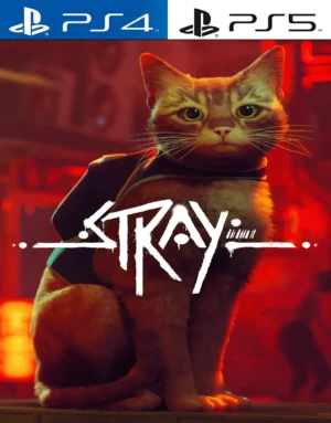 stray b2b92bbd297e893e6a17027153253385 1024 1024